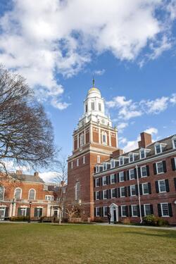 Yale University - The Mauler Institute